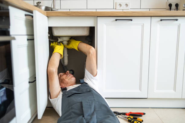 Best Septic Systems  in Burnham, IL